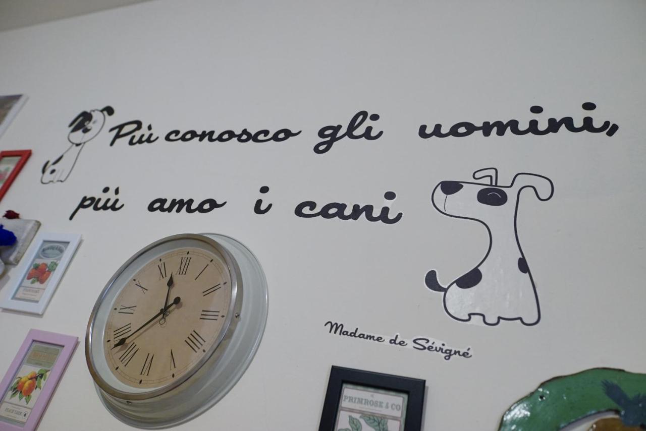 Bed and Breakfast La Casa Di Zia Mimina Civitella Casanova Экстерьер фото