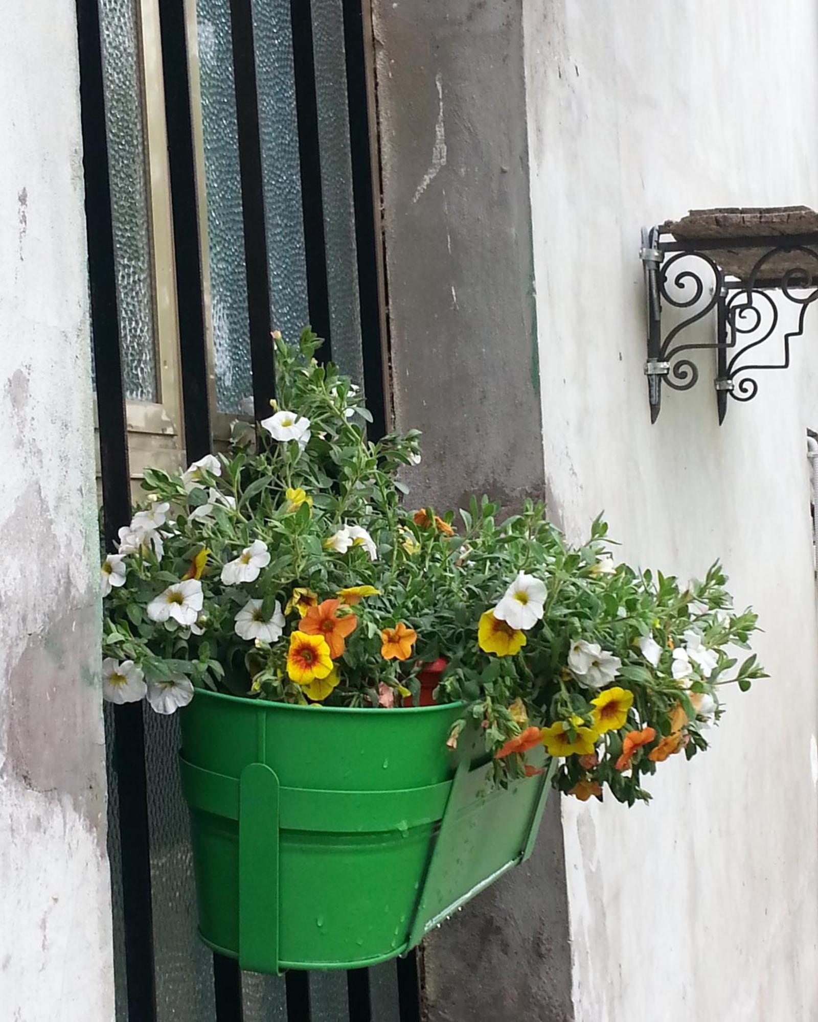 Bed and Breakfast La Casa Di Zia Mimina Civitella Casanova Экстерьер фото